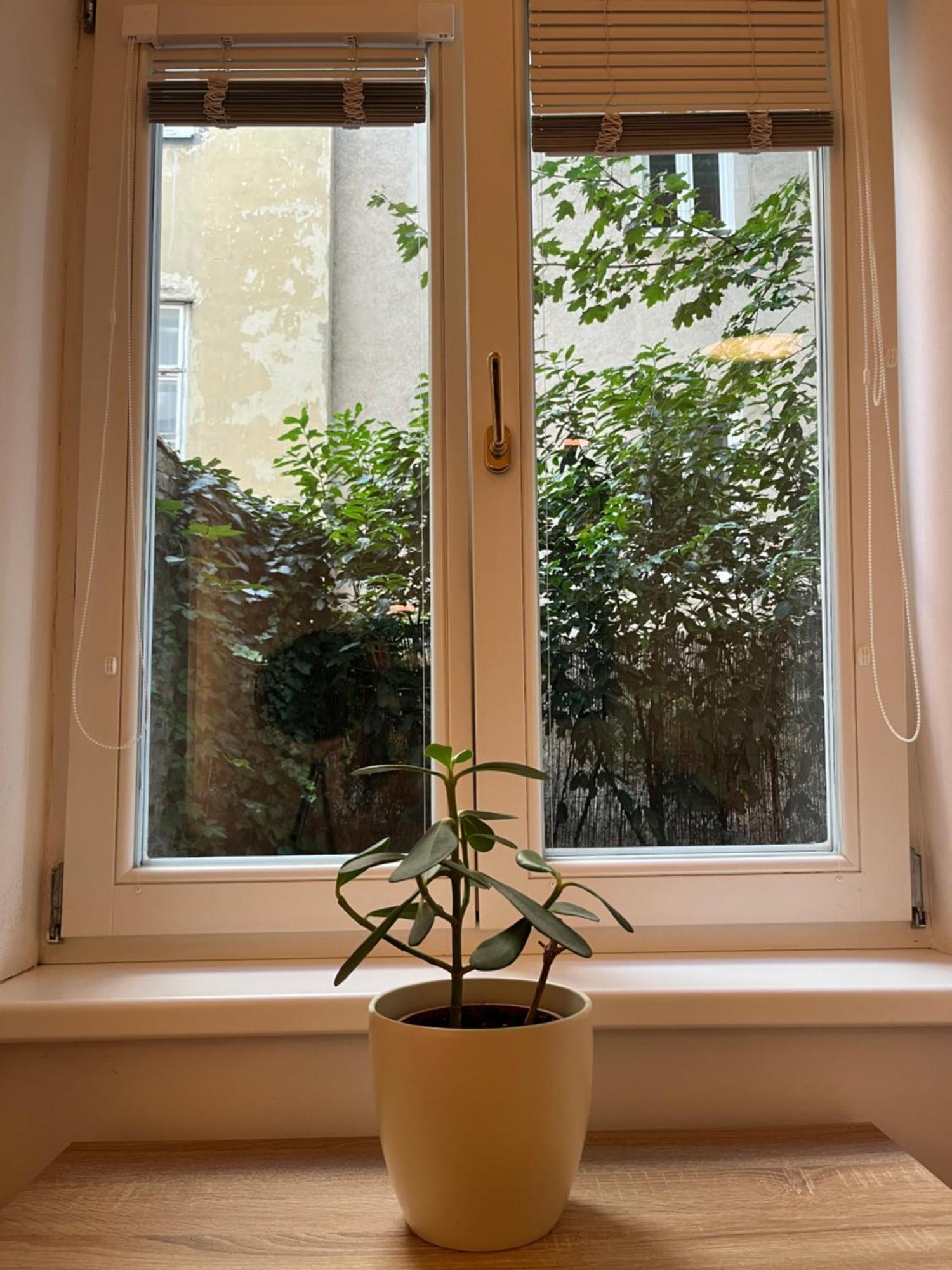 Quiet Apartment Next To Belvedere & Central Station Wien Eksteriør bilde